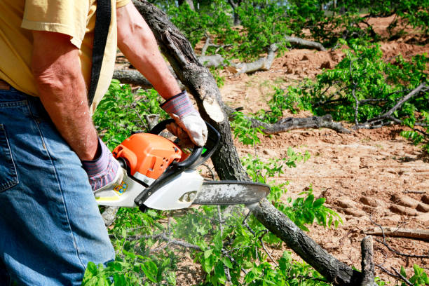 Lawn Irrigation Installation and Maintenance in Heber, UT